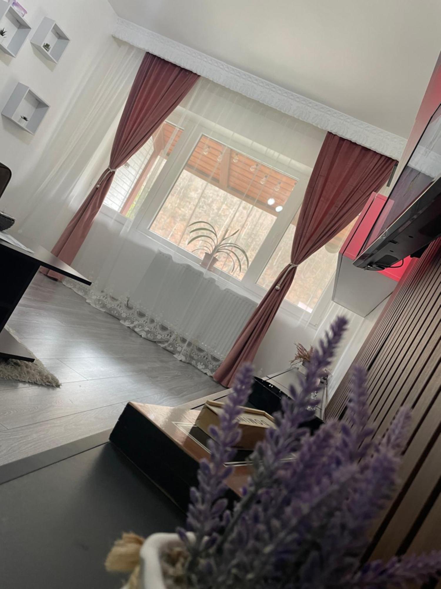 Aky Residence Slănic-Moldova Eksteriør bilde